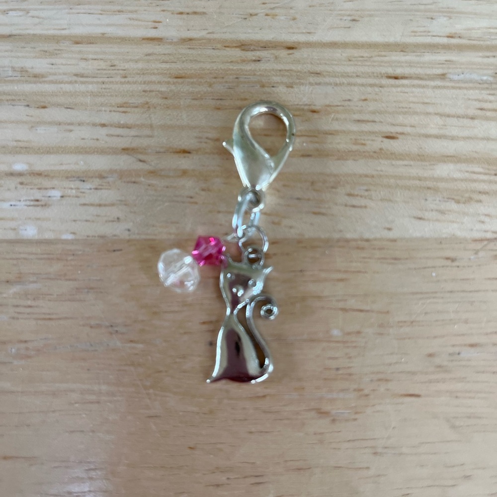 🐈Cat pet charm